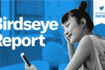 birdseye raporu