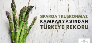 Sparga yarım girişimi