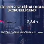 Türkiye Dijital Olgunluk Skoru